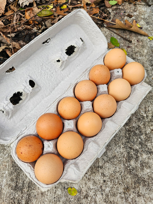 Farm fresh eggs/1 dozen