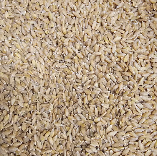 Organic Einkorn Berries